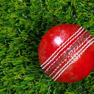 Artificial grass for cricket