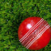 Artificial Grass Cricket
