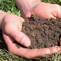 Artificial turf soil testing