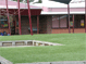 SmartGrass photo gallery thumbnail