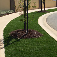 Synthetic grass for commercial council verges