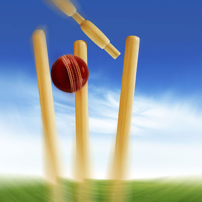 Artificial Grass for cricket